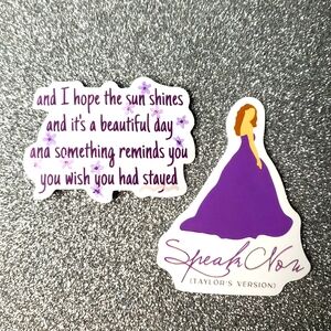 10/$10 Taylor Swift Waterproof Sticker